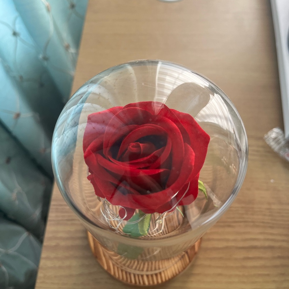 Enchanted Red Rose in Glass Dome-Lights Up 💡 - Picture 3 of 4